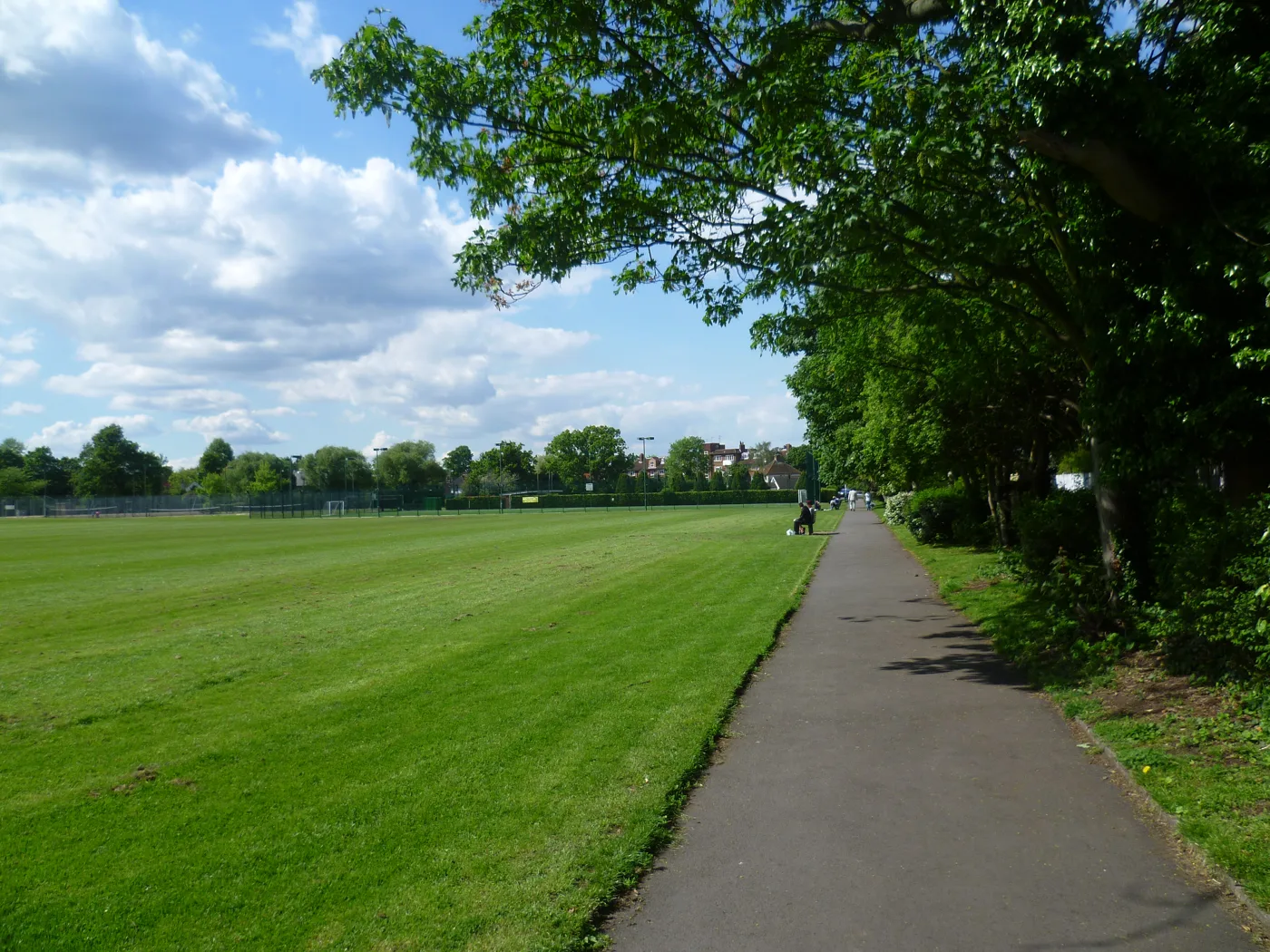 Court Recreation Ground in Epsom from the path along its eastern edge. The free sessions are held on the ground three days a week.