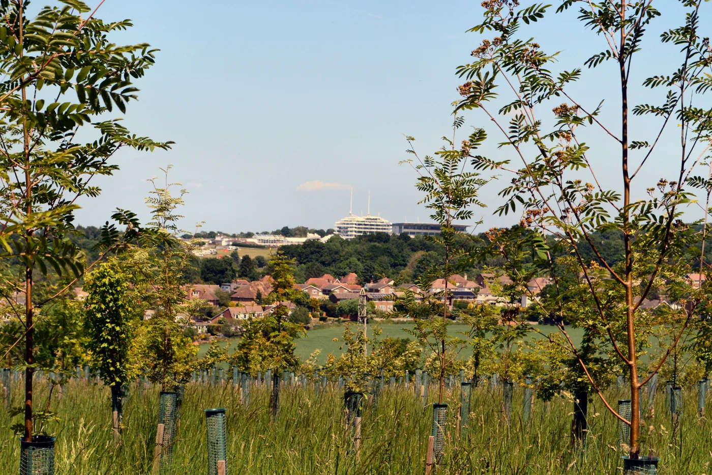 Langley Vale seen from Langley Vale Wood, with the Epsom Downs grandstand behind. The appeal site is farmland on the far side of the village and is not shown here.